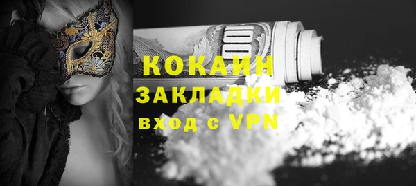 соль ск Гатчина