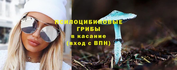 мескалин Осинники