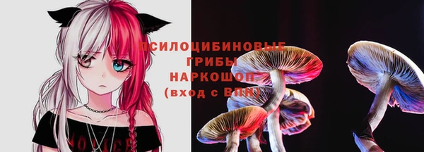 jwh Осташков