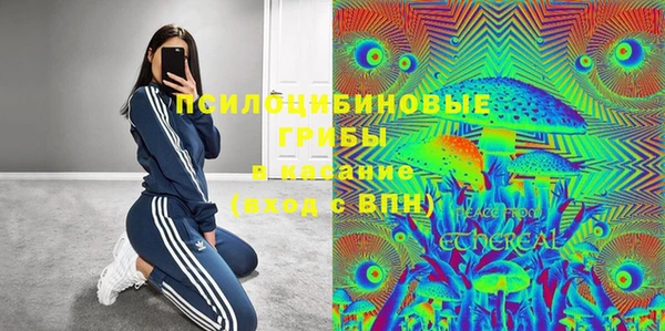 мескалин Осинники